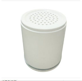 Shower filter